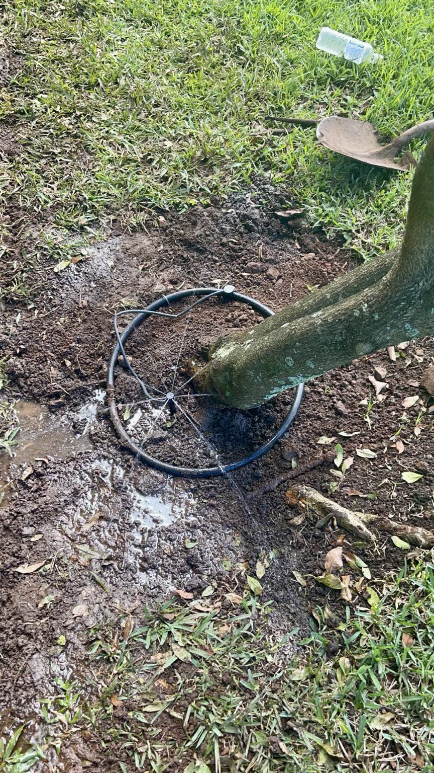 Large Tree Trimming Estimate